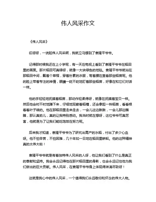 伟人风采作文