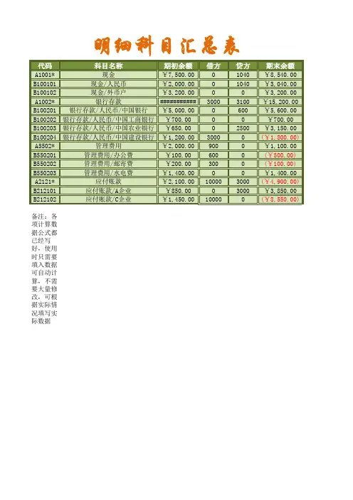 财务表格明细科目汇总表2