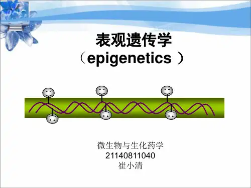 表观遗传学