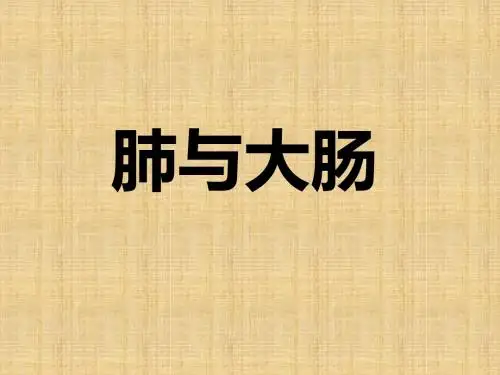 肺与大肠的关系医学PPT课件