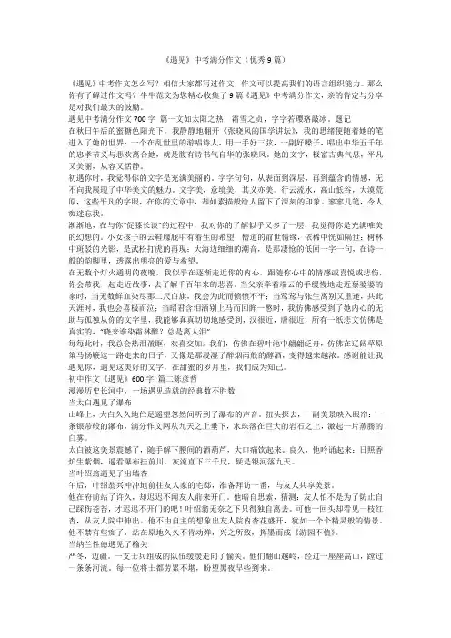 2023最新-《遇见》中考满分作文(优秀9篇)