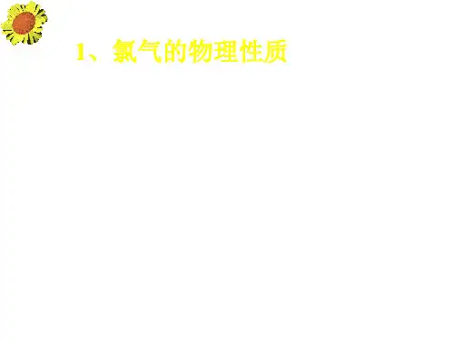 高一化学氯水(PPT)5-1