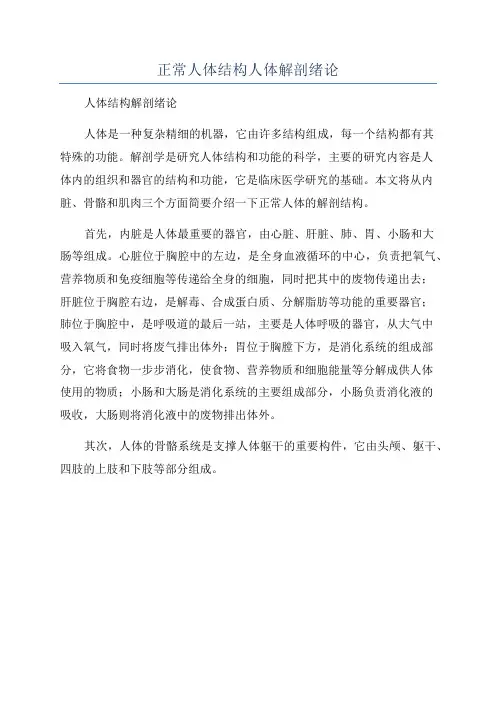 正常人体结构人体解剖绪论