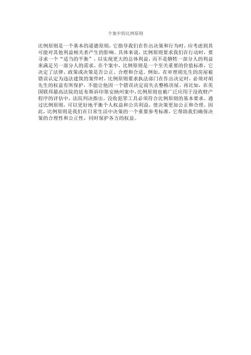 个案中的比例原则