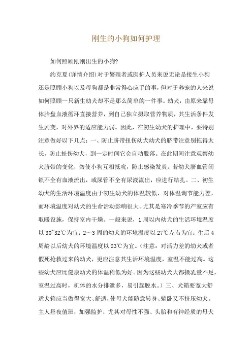 刚生的小狗如何护理