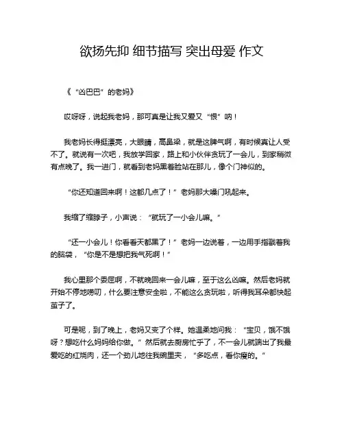 欲扬先抑 细节描写 突出母爱 作文