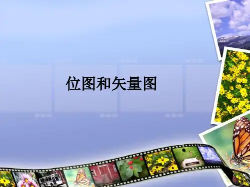 位图和矢量图(共47张PPT)