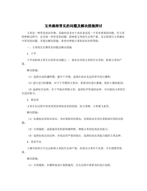 玉米栽培常见的问题及解决措施探讨