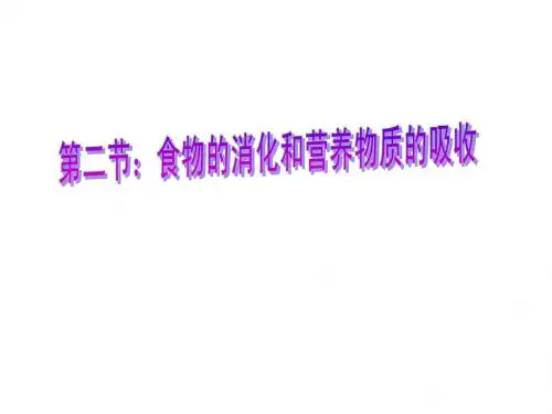 消化系统的组成
