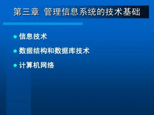 第三章 MIS的技术基础