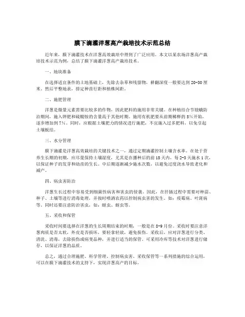 膜下滴灌洋葱高产栽培技术示范总结