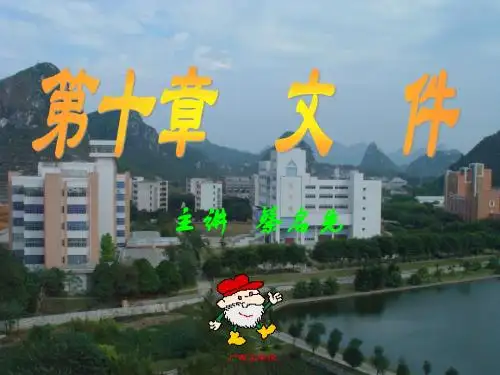 c语言程序设计教程第10章文件