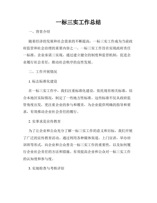 一标三实工作总结