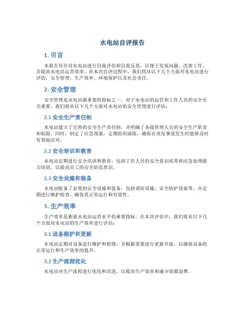 水电站自评报告