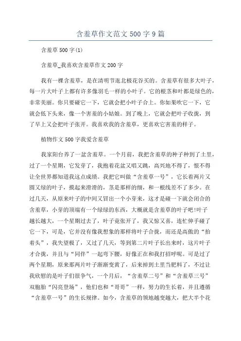 含羞草作文范文500字9篇