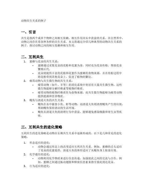 动物共生关系的例子