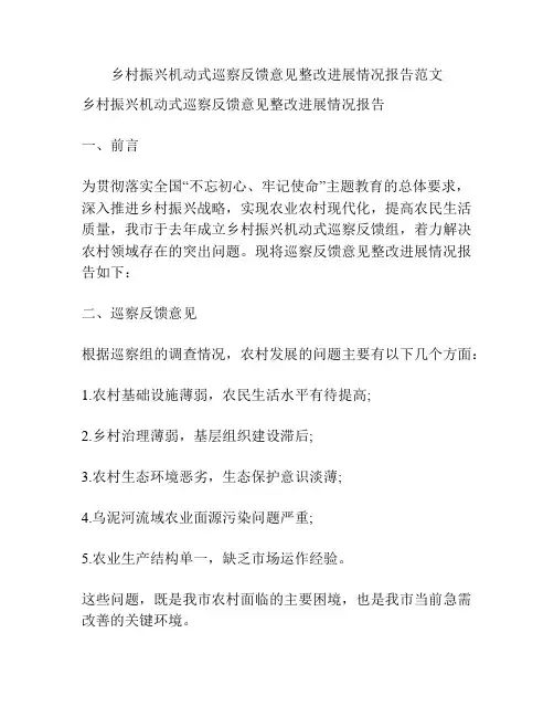 乡村振兴机动式巡察反馈意见整改进展情况报告范文