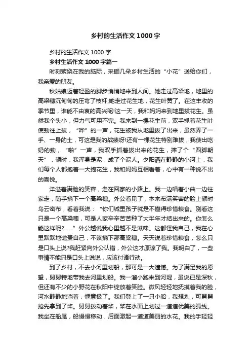 乡村的生活作文1000字