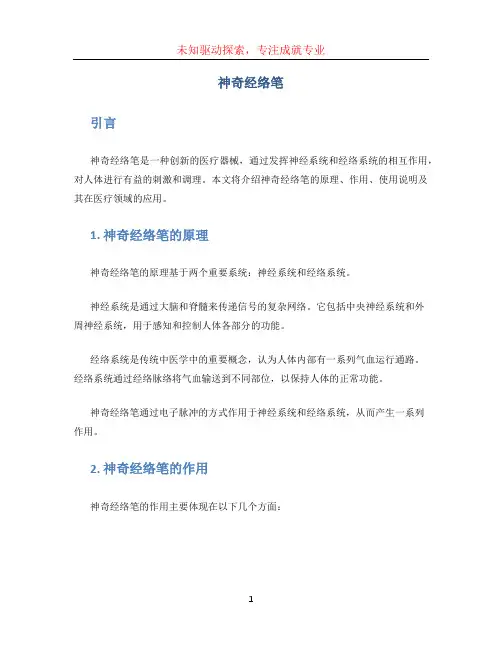 神奇经络笔