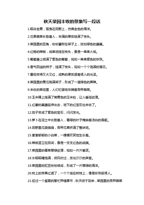 秋天菜园丰收的景象写一段话