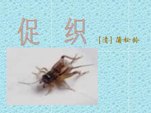 《促织》4省名师优质课赛课获奖课件市赛课一等奖课件
