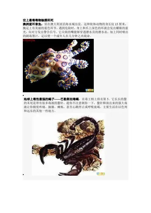世上最毒毒物触摸即死