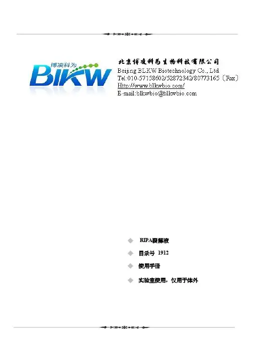 RIPA裂解液说明书