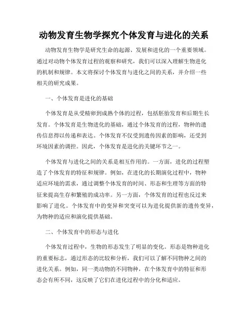 动物发育生物学探究个体发育与进化的关系