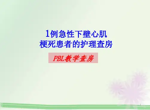 PBL护理查房PPT演示课件