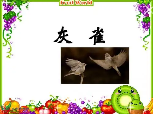 .灰雀PPT课件