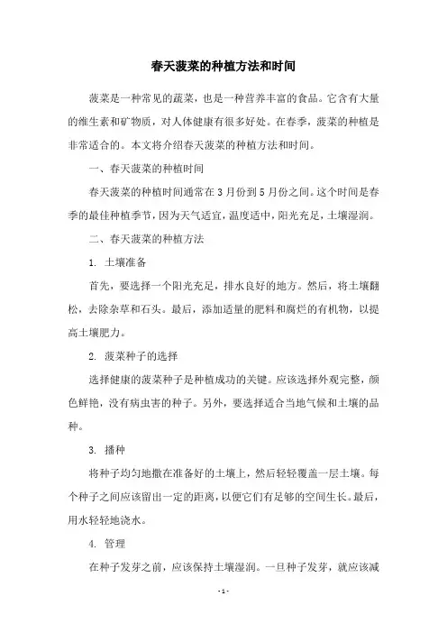 春天菠菜的种植方法和时间