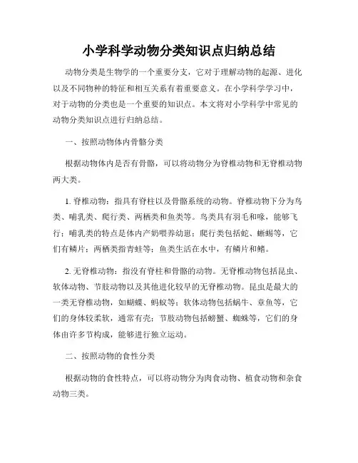小学科学动物分类知识点归纳总结