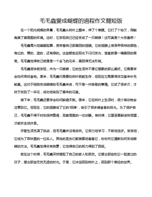 毛毛虫变成蝴蝶的过程作文简短版