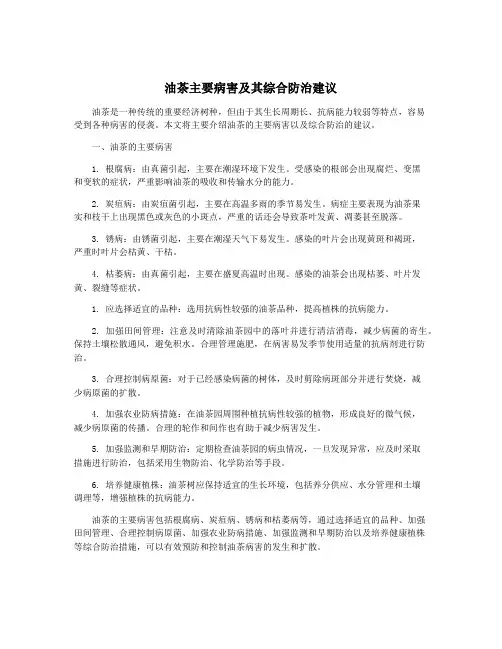 油茶主要病害及其综合防治建议