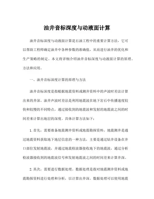 油井音标深度与动液面计算
