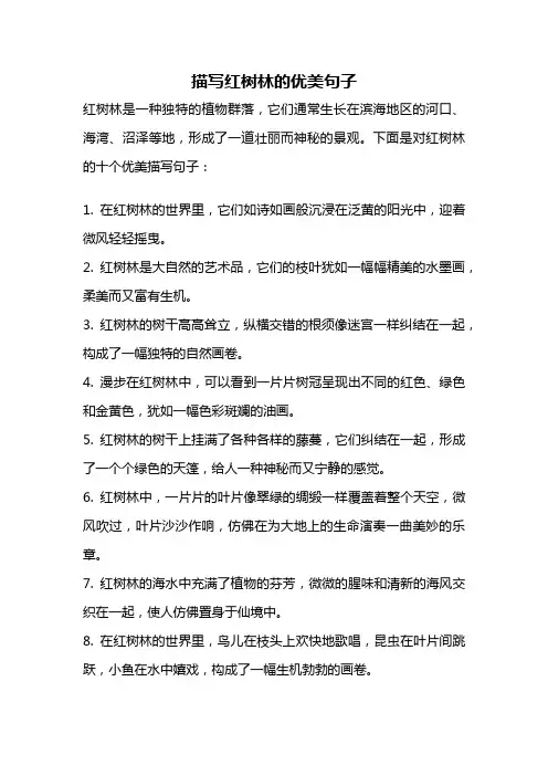 描写红树林的优美句子