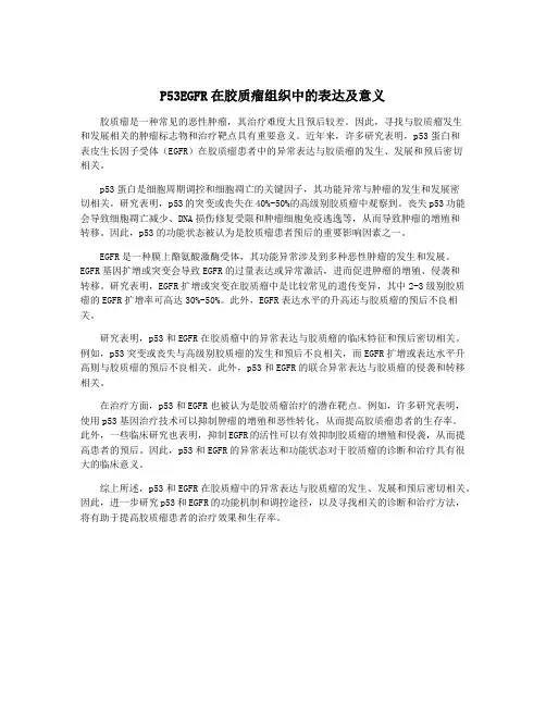 P53EGFR在胶质瘤组织中的表达及意义