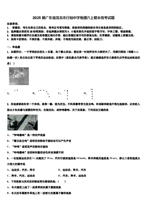 2025届广东省茂名市行知中学物理八上期末统考试题含解析