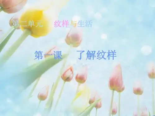 纹样与生活 第二课了解纹样