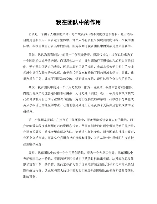 我在团队中的作用
