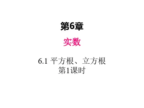 沪科版七年级下册数学平方根、立方根第1课时课件