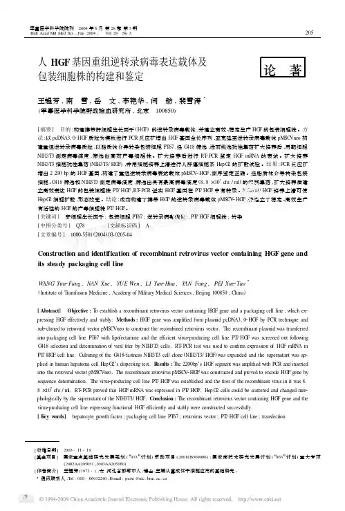 人HGF基因重组逆转录病毒表达载体及包装细胞株的构建和鉴定[1]