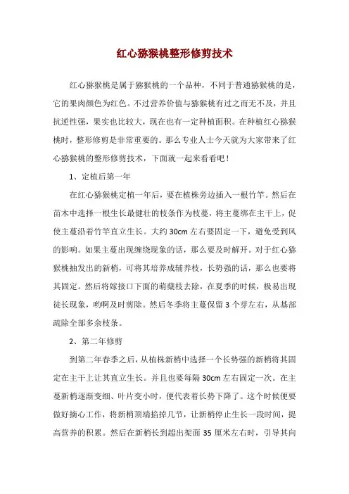 红心猕猴桃整形修剪技术