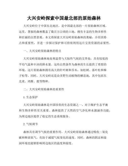 大兴安岭探索中国最北部的原始森林