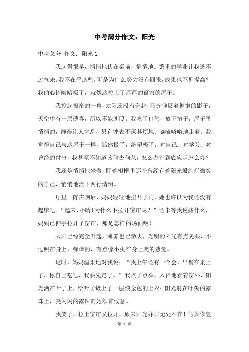 中考满分作文：阳光