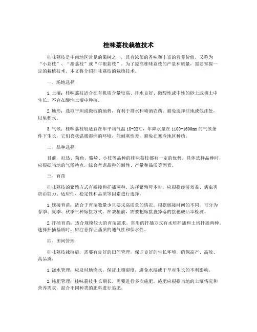 桂味荔枝栽植技术