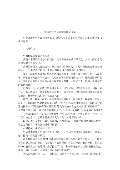 中国传统文化武术的作文3篇