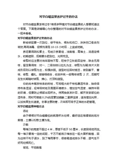 对节白蜡盆景养护过冬的办法