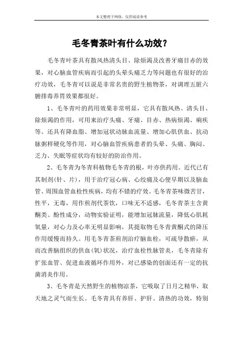 毛冬青茶叶有什么功效？
