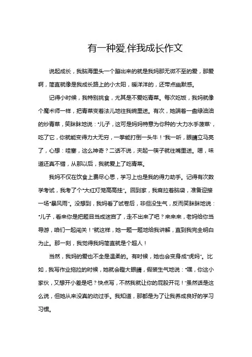 有一种爱,伴我成长作文